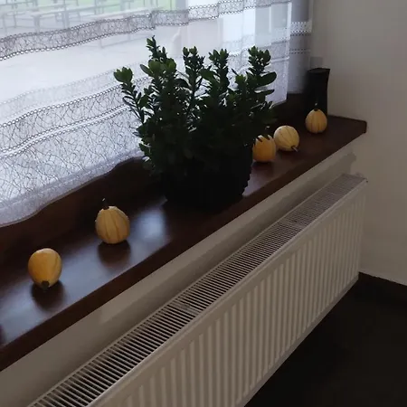 Apartment Adam