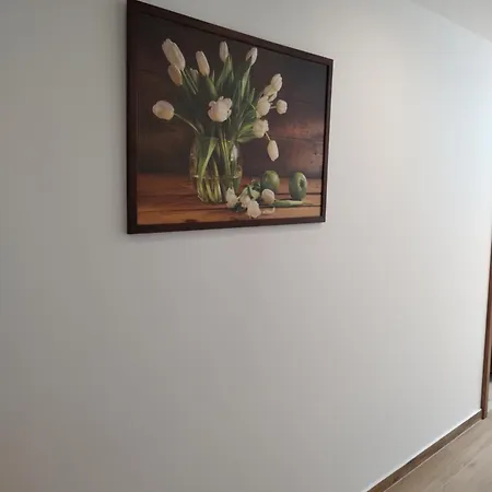 Adam Apartment *